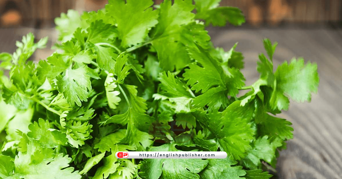 Benefits of Coriander