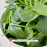 Benefits of spinach