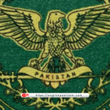 Political Wing in ISI