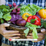 PhD vegetable man