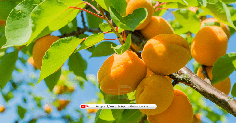 Fruiting plants